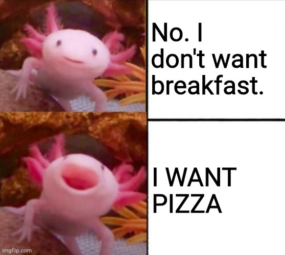 axolotl drake | No. I don't want breakfast. I WANT PIZZA | image tagged in axolotl drake | made w/ Imgflip meme maker