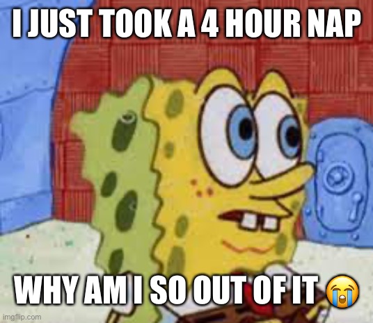 spongebob flabbergasted | I JUST TOOK A 4 HOUR NAP; WHY AM I SO OUT OF IT 😭 | image tagged in spongebob flabbergasted | made w/ Imgflip meme maker