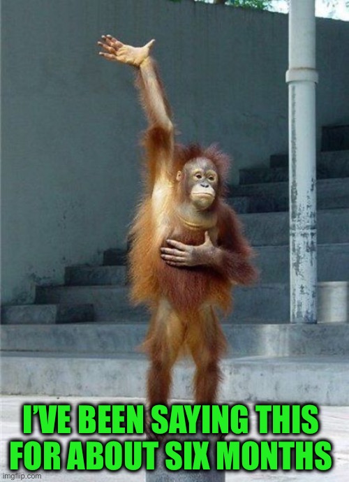 Monkey Raising Hand | I’VE BEEN SAYING THIS 
FOR ABOUT SIX MONTHS | image tagged in monkey raising hand | made w/ Imgflip meme maker