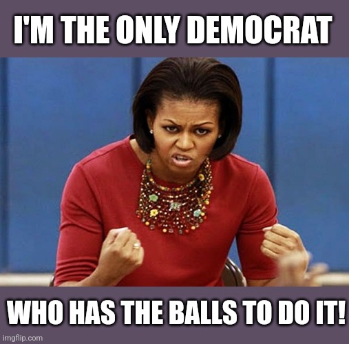 michelle obama | I'M THE ONLY DEMOCRAT WHO HAS THE BALLS TO DO IT! | image tagged in michelle obama | made w/ Imgflip meme maker
