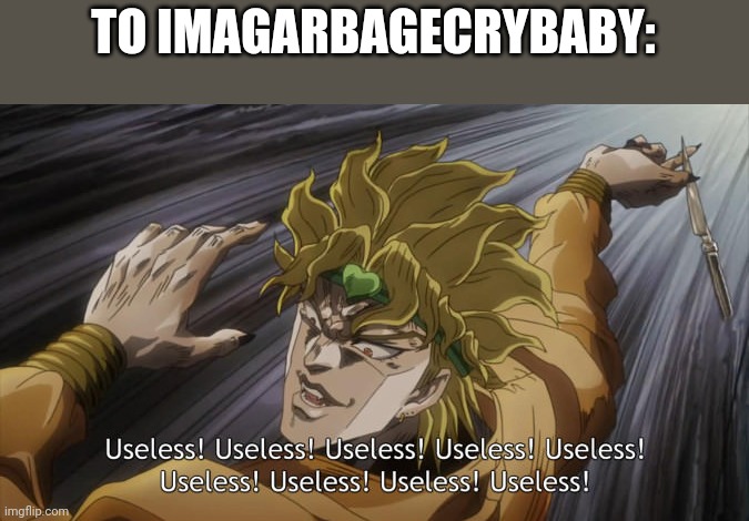 USELESS | TO IMAGARBAGECRYBABY: | image tagged in useless | made w/ Imgflip meme maker