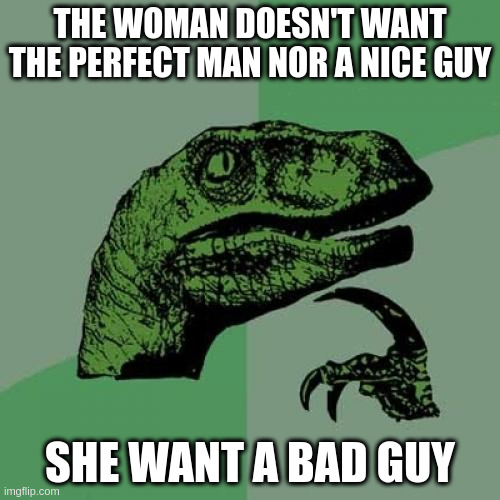 bad guy | THE WOMAN DOESN'T WANT THE PERFECT MAN NOR A NICE GUY; SHE WANT A BAD GUY | image tagged in memes,philosoraptor | made w/ Imgflip meme maker