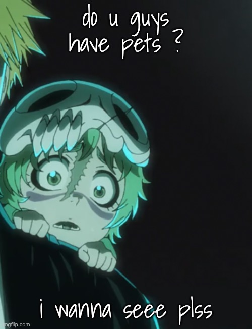 nel | do u guys have pets ? i wanna seee pls | image tagged in nel | made w/ Imgflip meme maker