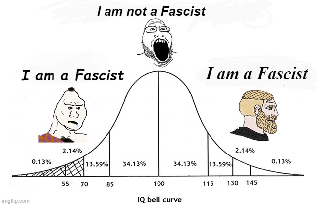 Midwit | I am not a Fascist; I am a Fascist; I am a Fascist | image tagged in midwit | made w/ Imgflip meme maker