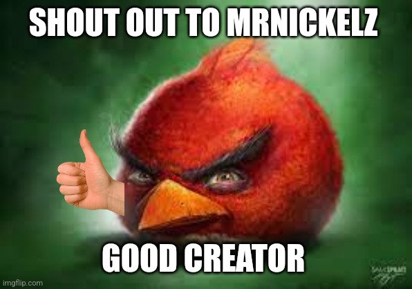 Realistic Red Angry Birds | SHOUT OUT TO MRNICKELZ; GOOD CREATOR | image tagged in realistic red angry birds | made w/ Imgflip meme maker