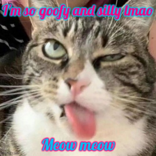 So sillyness | I'm so goofy and silly lmao; Meow meow | image tagged in memes,cats | made w/ Imgflip meme maker