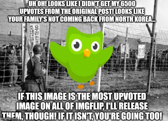 UH OH! LOOKS LIKE I DIDN'T GET MY 6500 UPVOTES FROM THE ORIGINAL POST! LOOKS LIKE YOUR FAMILY'S NOT COMING BACK FROM NORTH KOREA... IF THIS IMAGE IS THE MOST UPVOTED IMAGE ON ALL OF IMGFLIP, I'LL RELEASE THEM, THOUGH! IF IT ISN'T, YOU'RE GOING TOO! | image tagged in duolingo,north korea,upvote begging | made w/ Imgflip meme maker