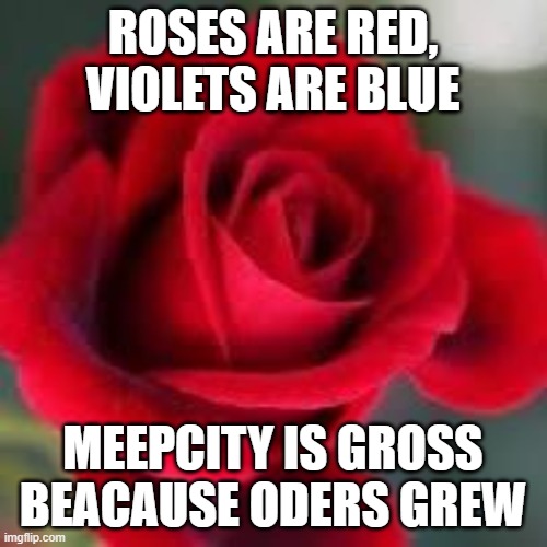 roses are red | ROSES ARE RED, VIOLETS ARE BLUE MEEPCITY IS GROSS BEACAUSE ODERS GREW | image tagged in roses are red | made w/ Imgflip meme maker