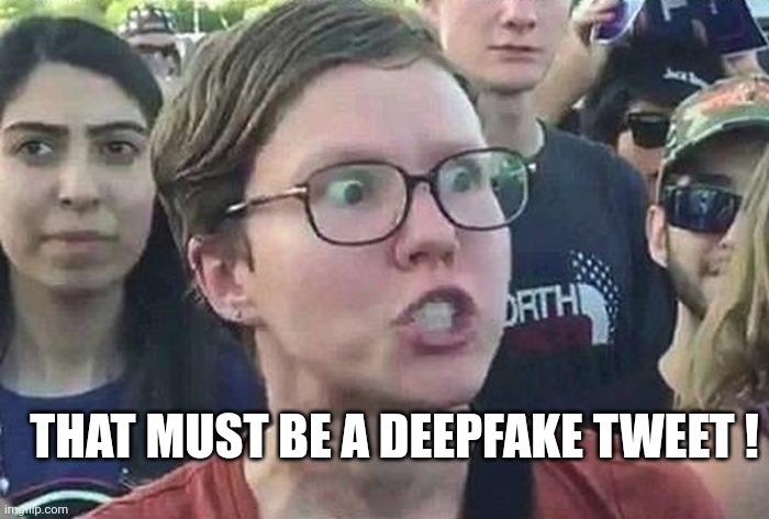 Triggered Liberal | THAT MUST BE A DEEPFAKE TWEET ! | image tagged in triggered liberal | made w/ Imgflip meme maker