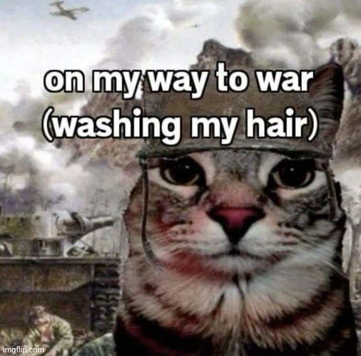 I havent washed my hair in over a week i love curly hair | made w/ Imgflip meme maker