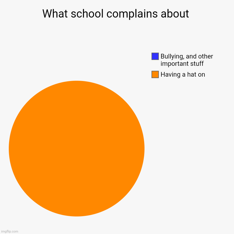 Fr though | What school complains about | Having a hat on, Bullying, and other important stuff | image tagged in charts,pie charts | made w/ Imgflip chart maker