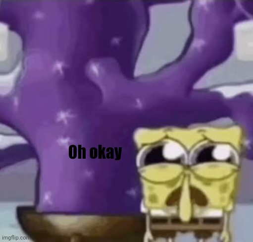 Zad Spunchbop | Oh okay | image tagged in zad spunchbop | made w/ Imgflip meme maker