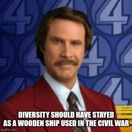 Ron Burgandy | DIVERSITY SHOULD HAVE STAYED AS A WOODEN SHIP USED IN THE CIVIL WAR | image tagged in ron burgandy | made w/ Imgflip meme maker