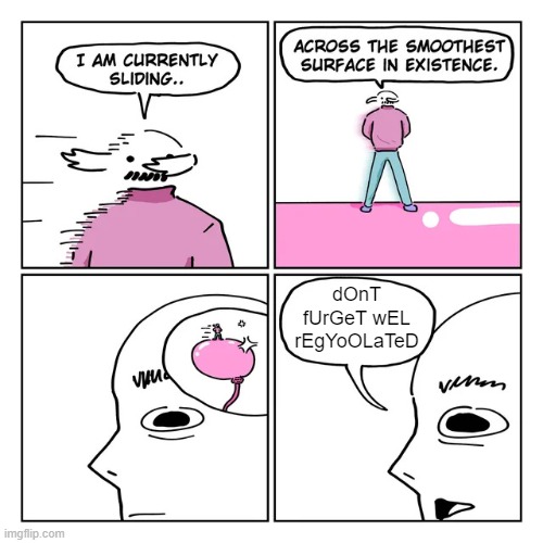 Well regulated | dOnT fUrGeT wEL rEgYoOLaTeD | image tagged in smooth brain sliding,2nd amendment,well regulated | made w/ Imgflip meme maker