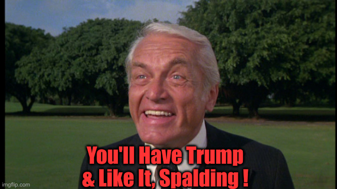Caddyshack- Ted knight 2 | You'll Have Trump & Like It, Spalding ! | image tagged in caddyshack- ted knight 2 | made w/ Imgflip meme maker