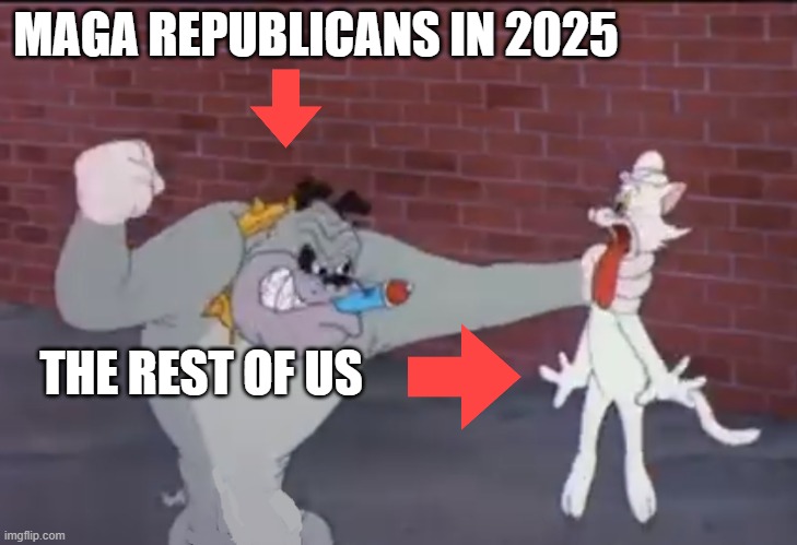 MAGA Bulldog | MAGA REPUBLICANS IN 2025; THE REST OF US | image tagged in maga,bulldog,white cat,i hate donald trump,trump sucks | made w/ Imgflip meme maker