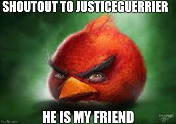 Realistic Red Angry Birds | SHOUTOUT TO JUSTICEGUERRIER; HE IS MY FRIEND | image tagged in realistic red angry birds | made w/ Imgflip meme maker