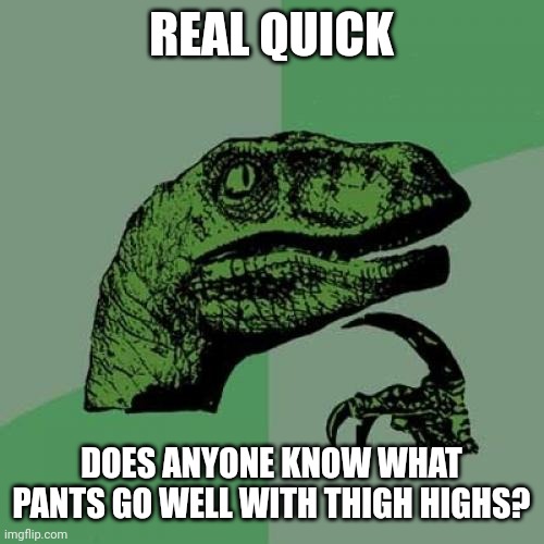 Philosoraptor | REAL QUICK; DOES ANYONE KNOW WHAT PANTS GO WELL WITH THIGH HIGHS? | image tagged in memes,philosoraptor | made w/ Imgflip meme maker