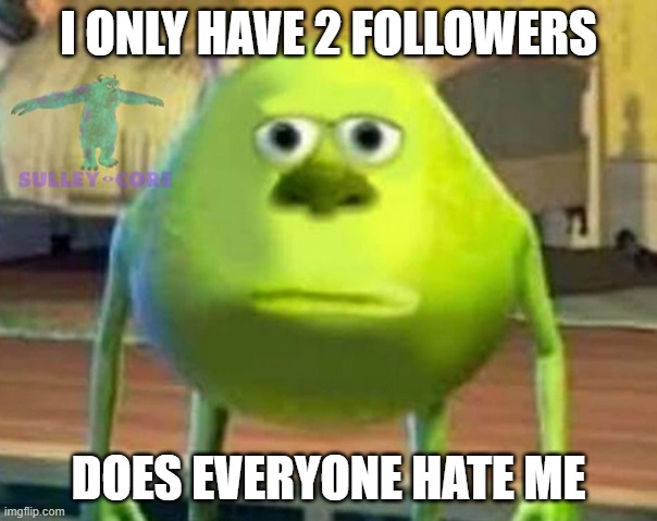 and the worst part is the 1st is my sister and I don't even know who the 2d is | I ONLY HAVE 2 FOLLOWERS; DOES EVERYONE HATE ME | image tagged in monsters inc | made w/ Imgflip meme maker