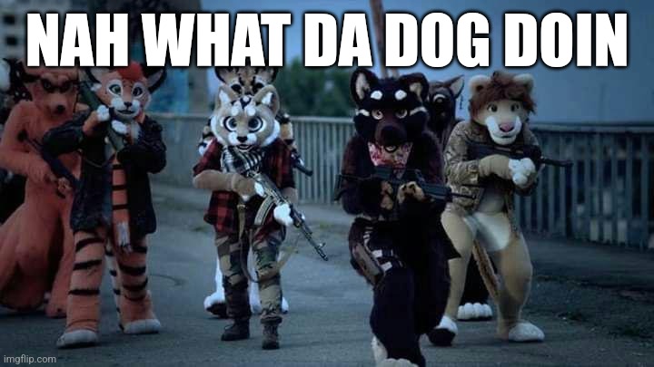 Furry Army | NAH WHAT DA DOG DOIN | image tagged in furry army | made w/ Imgflip meme maker
