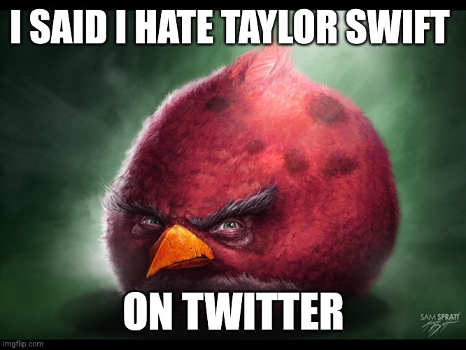 Realistic Angry Bird (big red) | I SAID I HATE TAYLOR SWIFT; ON TWITTER | image tagged in realistic angry bird big red | made w/ Imgflip meme maker