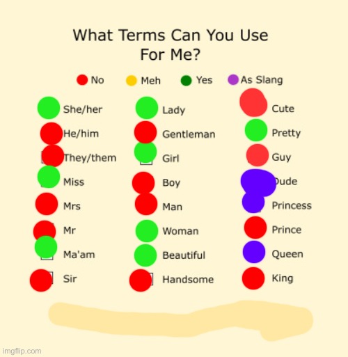 Meow | image tagged in pronouns sheet | made w/ Imgflip meme maker