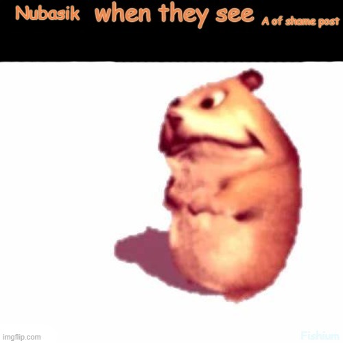 X when they see x | Nubasik; A of shame post | image tagged in x when they see x | made w/ Imgflip meme maker
