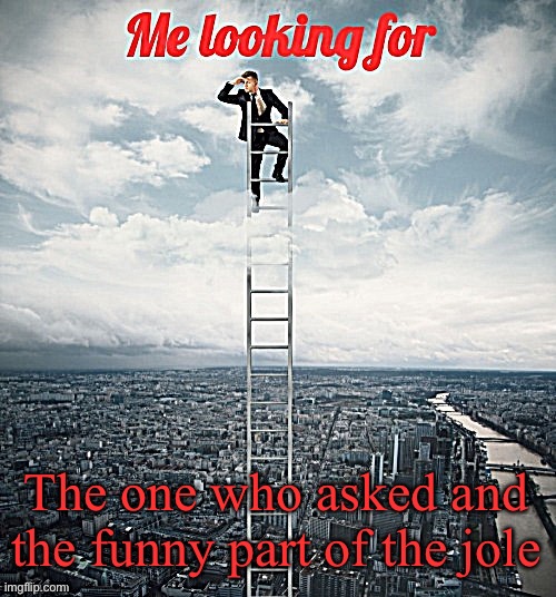 Searching | The one who asked and the funny part of the joke | image tagged in searching | made w/ Imgflip meme maker