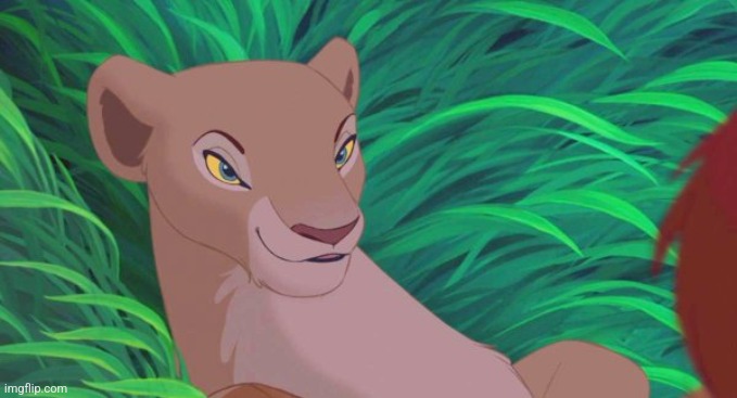 Lion King Nala | image tagged in lion king nala | made w/ Imgflip meme maker