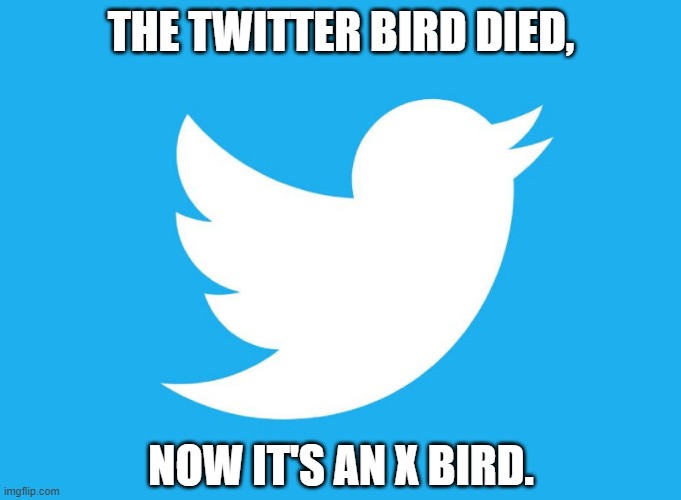 THE TWITTER BIRD DIED, NOW IT'S AN X BIRD. | image tagged in twitter bird logo | made w/ Imgflip meme maker