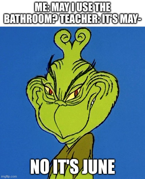 Grinch Smile | ME: MAY I USE THE BATHROOM? TEACHER: IT'S MAY-; NO IT'S JUNE | image tagged in grinch smile | made w/ Imgflip meme maker
