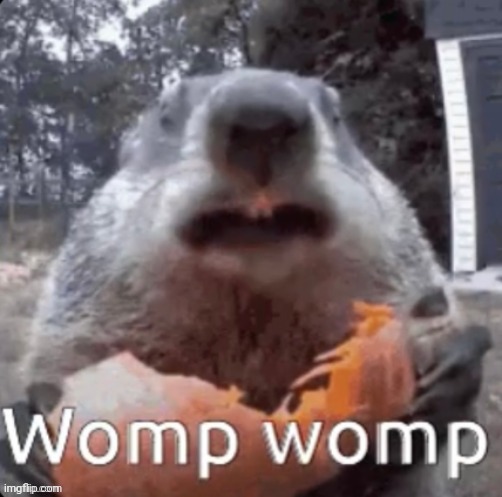 Womp Womp | image tagged in womp womp | made w/ Imgflip meme maker