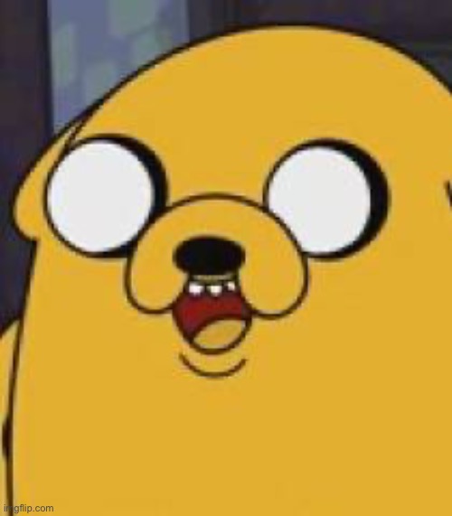 Jake The Dog Yeah Okay | image tagged in jake the dog yeah okay | made w/ Imgflip meme maker