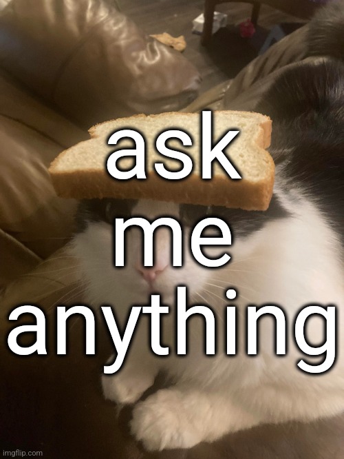 I see dead people | ask me anything | image tagged in bread cat | made w/ Imgflip meme maker