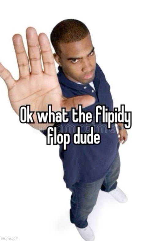 Ok what the flipity flop dude | image tagged in ok what the flipity flop dude | made w/ Imgflip meme maker