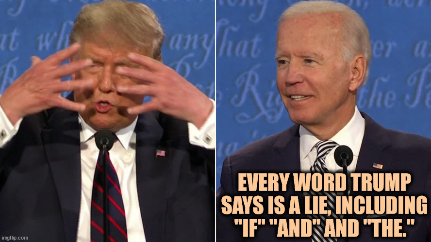 The polls haven't moved an inch. | EVERY WORD TRUMP SAYS IS A LIE, INCLUDING "IF" "AND" AND "THE." | image tagged in trump,liar,lies | made w/ Imgflip meme maker