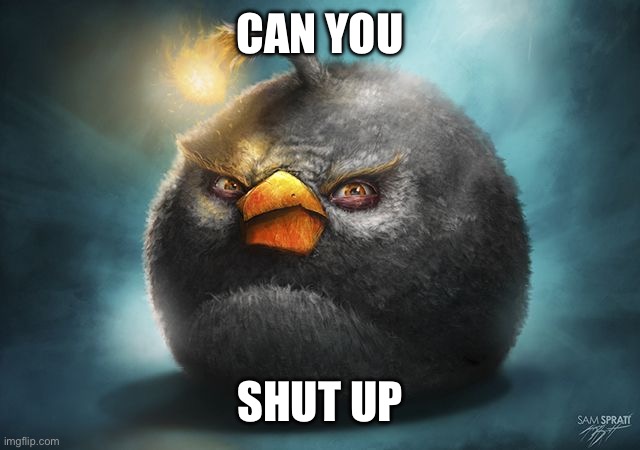 angry birds bomb | CAN YOU SHUT UP | image tagged in angry birds bomb | made w/ Imgflip meme maker