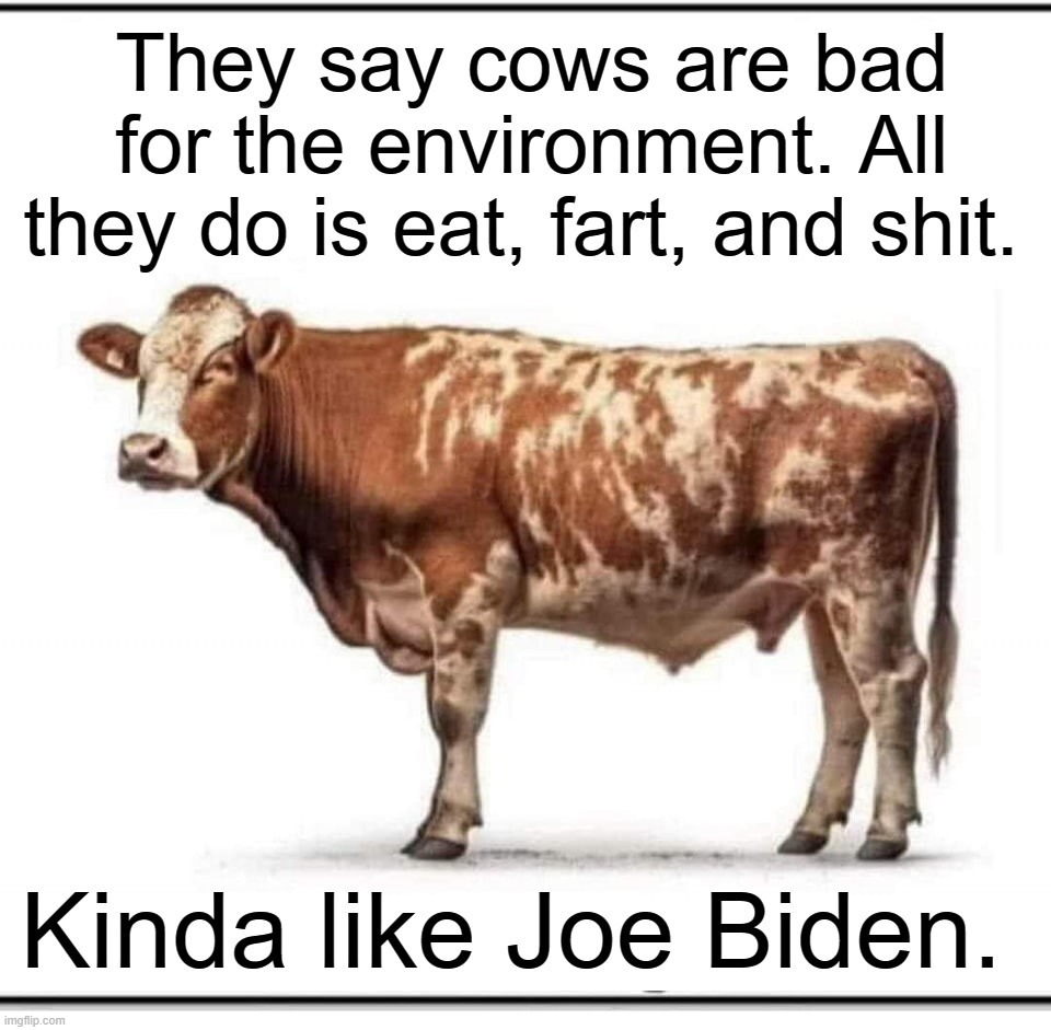 They say cows are bad for the environment. | image tagged in cattle,joe biden,poopy pants,shit for brains,poopy pants joe biden,joe biden worries | made w/ Imgflip meme maker