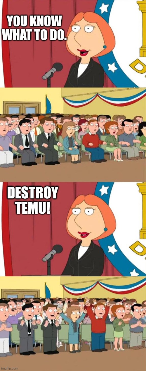 I hope The Temu Company doesn't see this. ? | YOU KNOW WHAT TO DO. DESTROY TEMU! | image tagged in lois griffin family guy | made w/ Imgflip meme maker