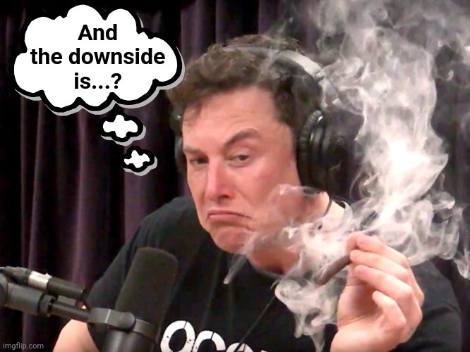 Elon Musk Weed | And
the downside
is...? | image tagged in elon musk weed | made w/ Imgflip meme maker
