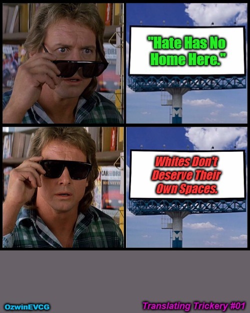 Translating Trickery #01 [PSC] | image tagged in john nada sunglasses billboard,antiwhite,double standards,haaaaaaaate,they live | made w/ Imgflip meme maker