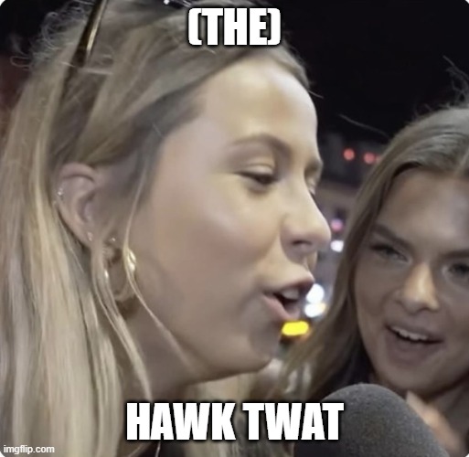 Hawk Tuah Girl | (THE); HAWK TWAT | image tagged in hawk tuah girl | made w/ Imgflip meme maker