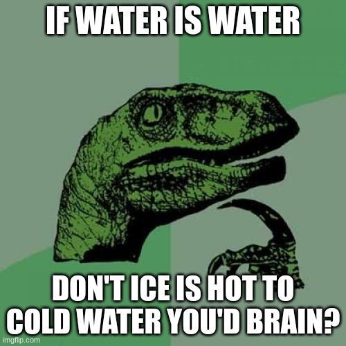 no seriously | IF WATER IS WATER; DON'T ICE IS HOT TO COLD WATER YOU'D BRAIN? | image tagged in memes,philosoraptor | made w/ Imgflip meme maker