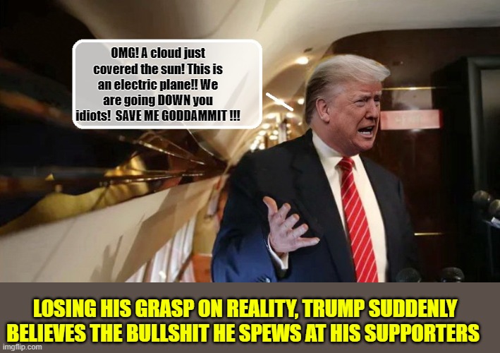 Trump vs Logic...And Loses... | OMG! A cloud just covered the sun! This is an electric plane!! We are going DOWN you idiots!  SAVE ME GODDAMMIT !!! LOSING HIS GRASP ON REALITY, TRUMP SUDDENLY BELIEVES THE BULLSHIT HE SPEWS AT HIS SUPPORTERS | image tagged in donald trump memes,donald trump is an idiot,political meme,alternative facts | made w/ Imgflip meme maker