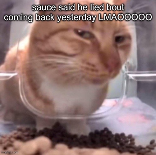 side eye | sauce said he lied bout coming back yesterday LMAOOOOO | image tagged in side eye | made w/ Imgflip meme maker