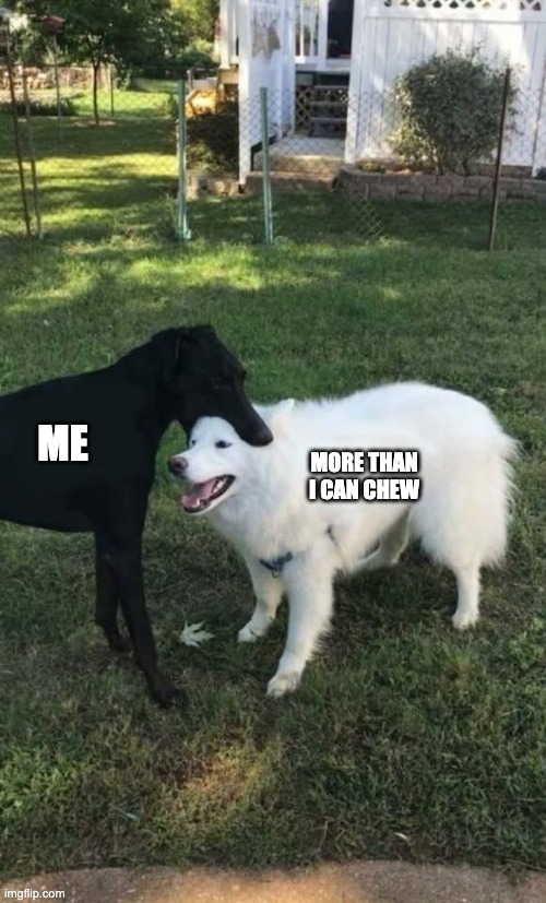 Bite more than I can chew | ME; MORE THAN I CAN CHEW | image tagged in dog bite | made w/ Imgflip meme maker