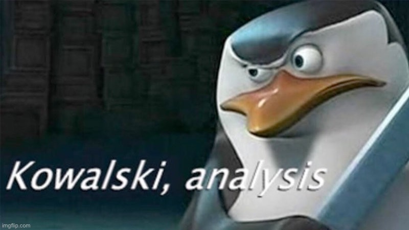 Kowalski, Analysis | image tagged in kowalski analysis | made w/ Imgflip meme maker