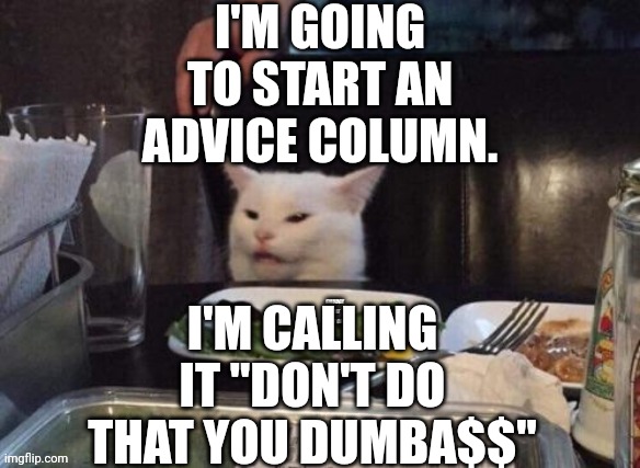 Smudge that darn cat | I'M GOING TO START AN ADVICE COLUMN. I'M CALLING IT "DON'T DO THAT YOU DUMBA$$" | image tagged in smudge that darn cat | made w/ Imgflip meme maker