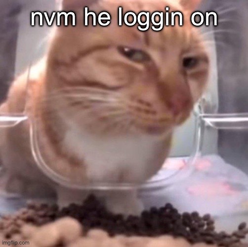 side eye | nvm he loggin on | image tagged in side eye | made w/ Imgflip meme maker