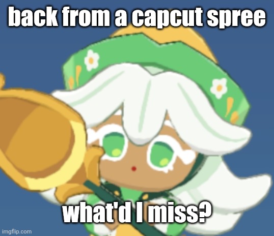 chamomile cokkieoir | back from a capcut spree; what'd I miss? | image tagged in chamomile cokkieoir | made w/ Imgflip meme maker